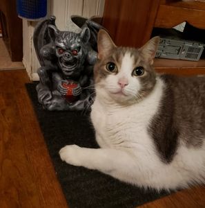 Meet your Posher, Nancy